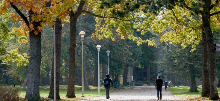 Two individuals walking on a campus pathway.