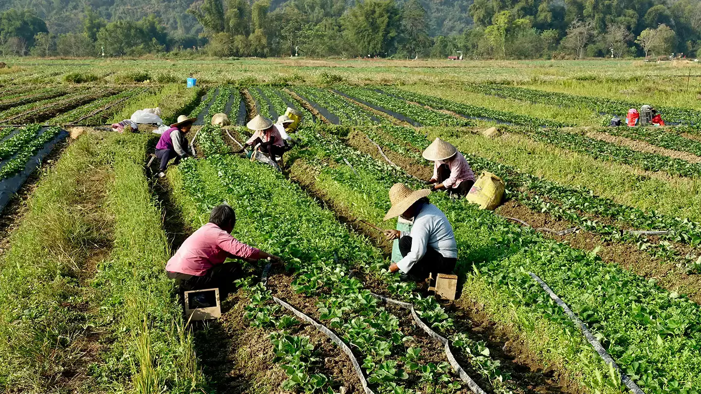 farm workers