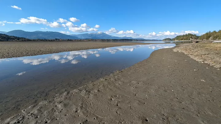 beach