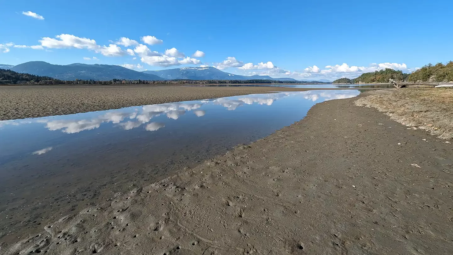 beach