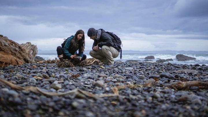 Two UVic geography students examine kelp on a coastal beach on Vancouver Island.