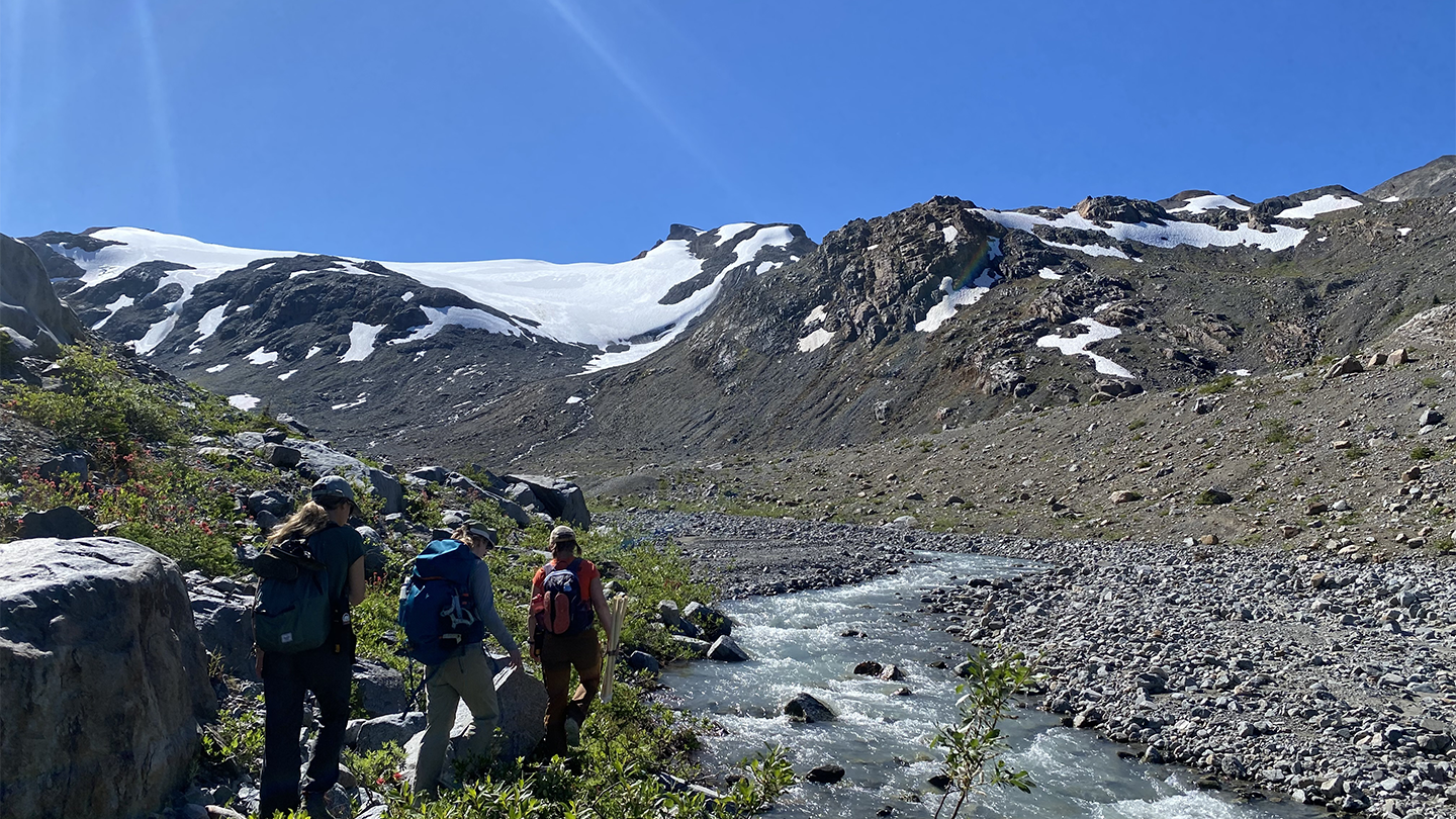 Students on alpine