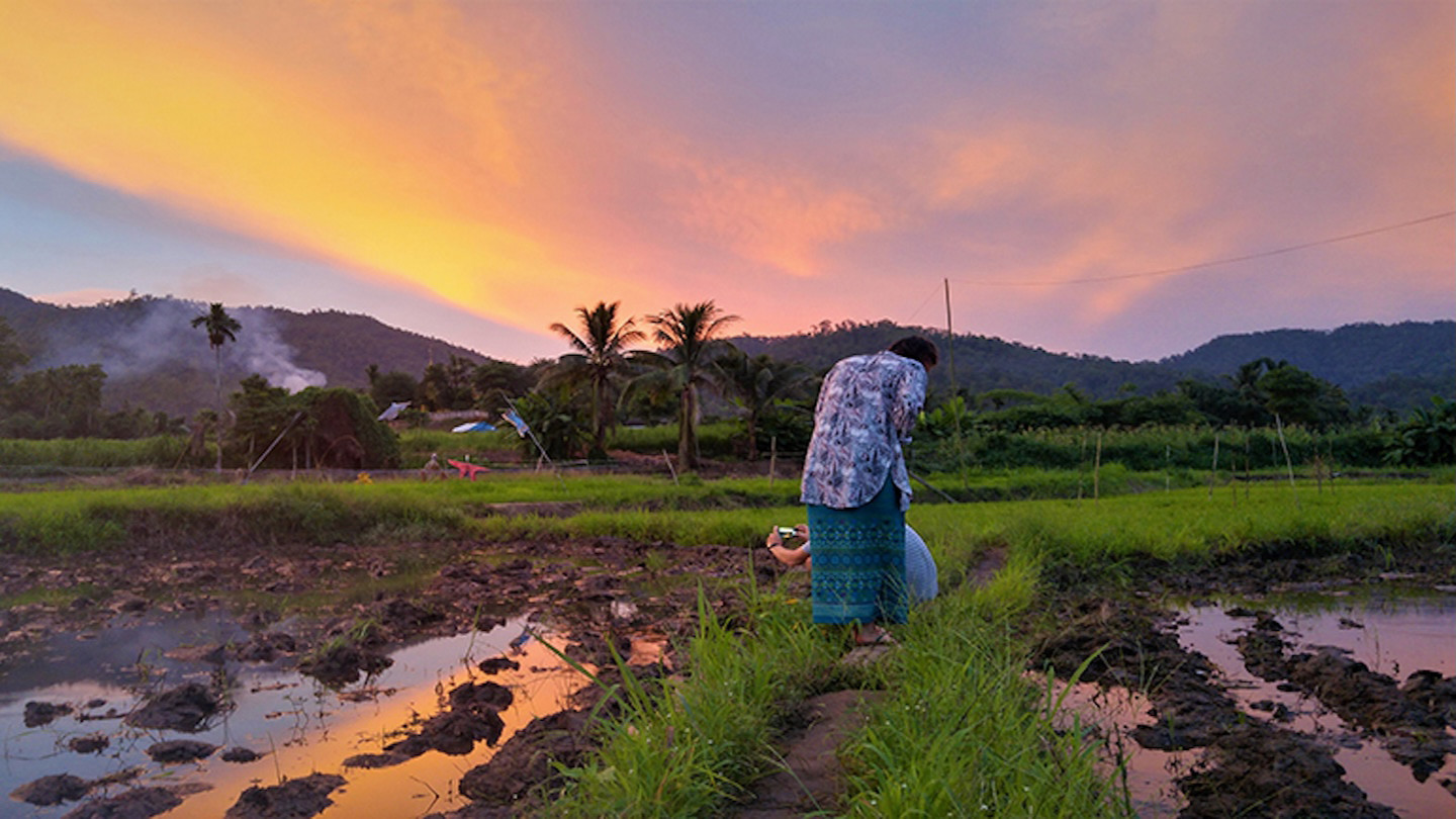 Woman working in Thailand field