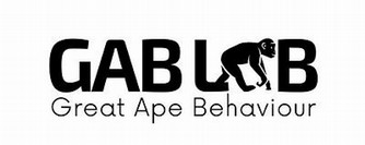 Gab Lab