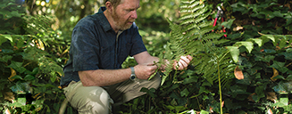 Environmental studies alumnus