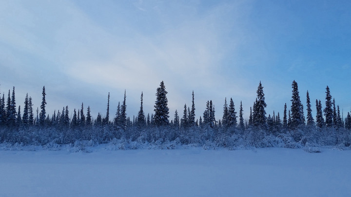 ALE arctic landscape