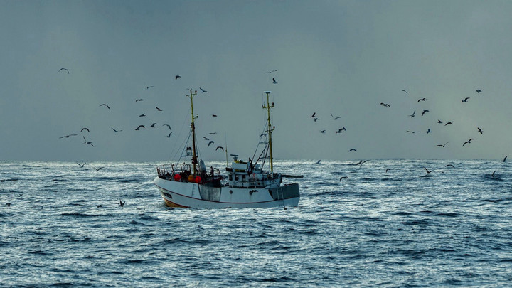 Commercial fishing vessel at sea