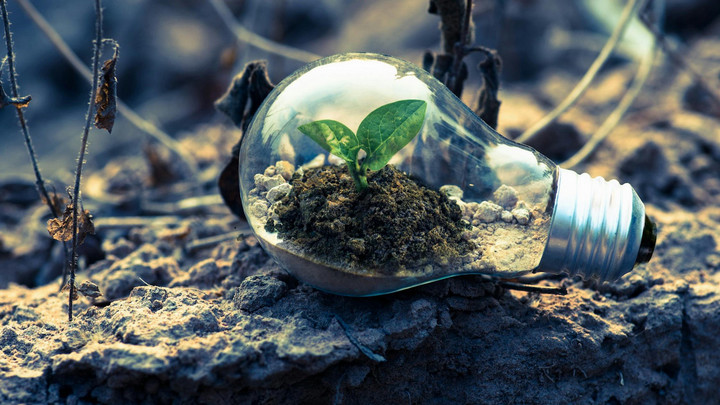 A lightbulb in soil