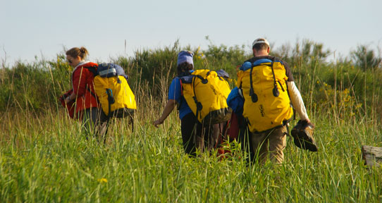 Students hiking in a field