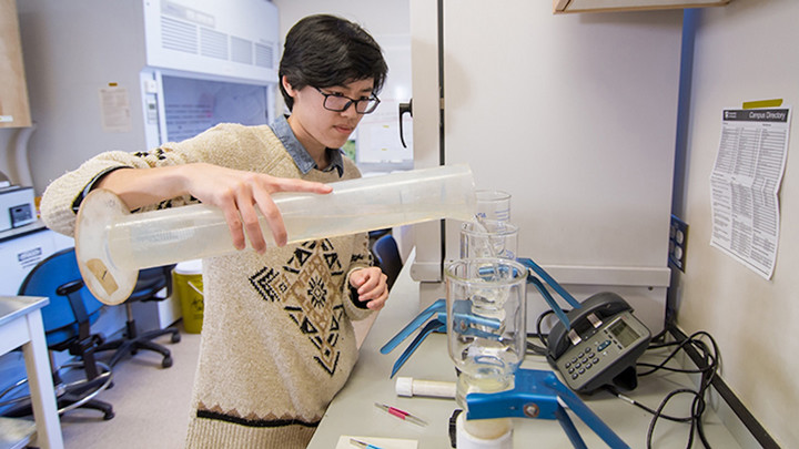 Student working in lab