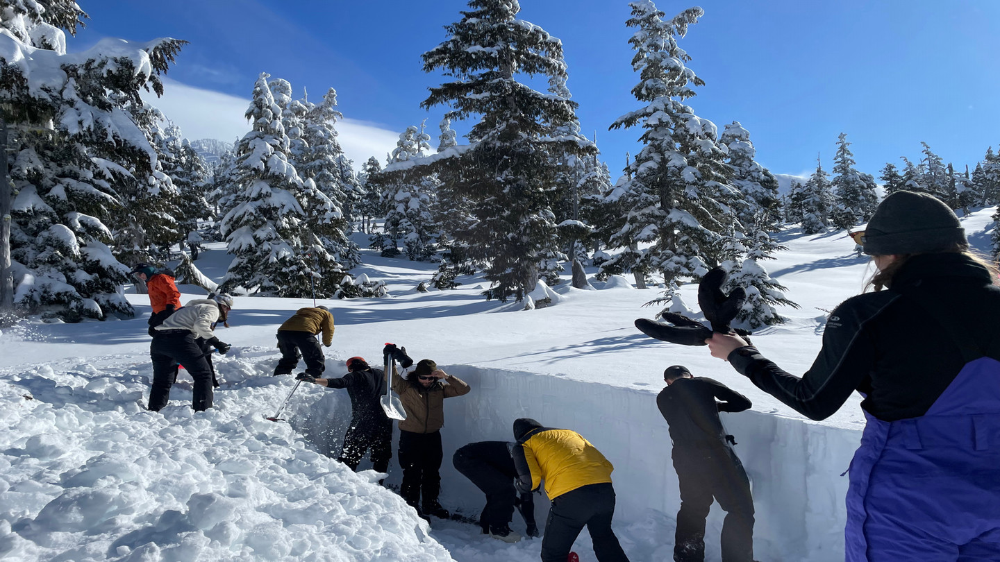A group of field students shoveling snow surrounded by snowy trees