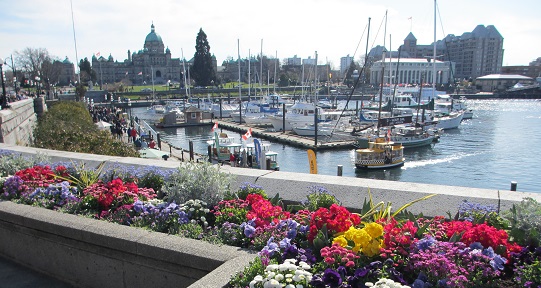 Flowers are in front of a view of boats in the harbour
