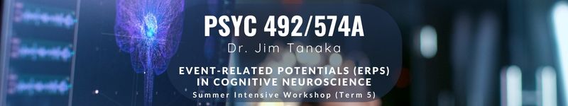 PSYC 491 new section added