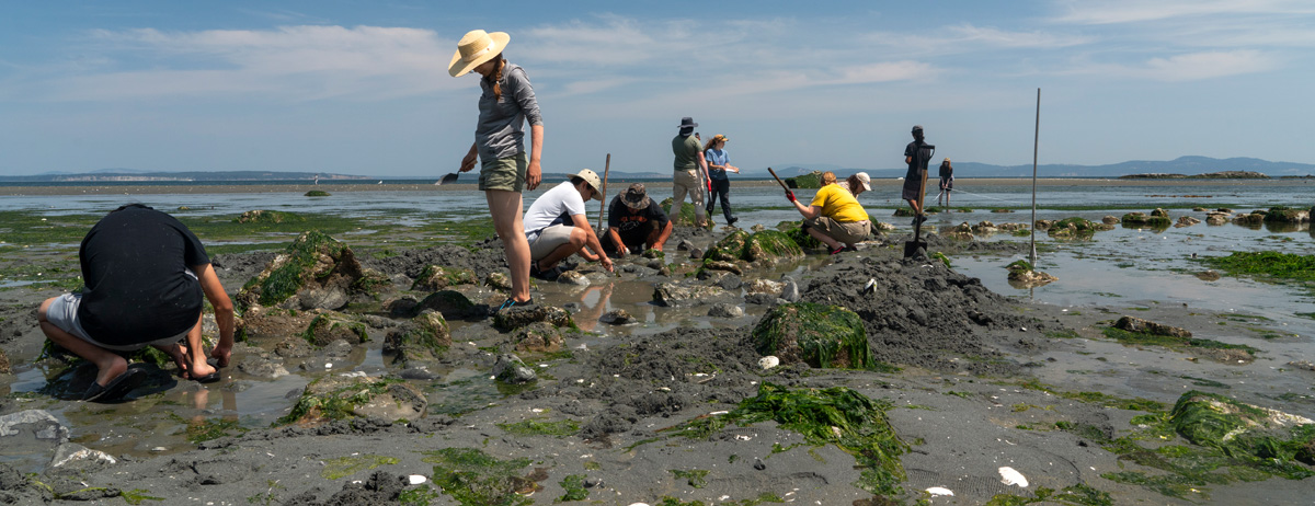 UVic and Tsawout First Nation have combined forces to host the 2023 summer archaeology field school, focusing on the ancient village site of ȾEL¸IȽĆE in Cordova Bay.