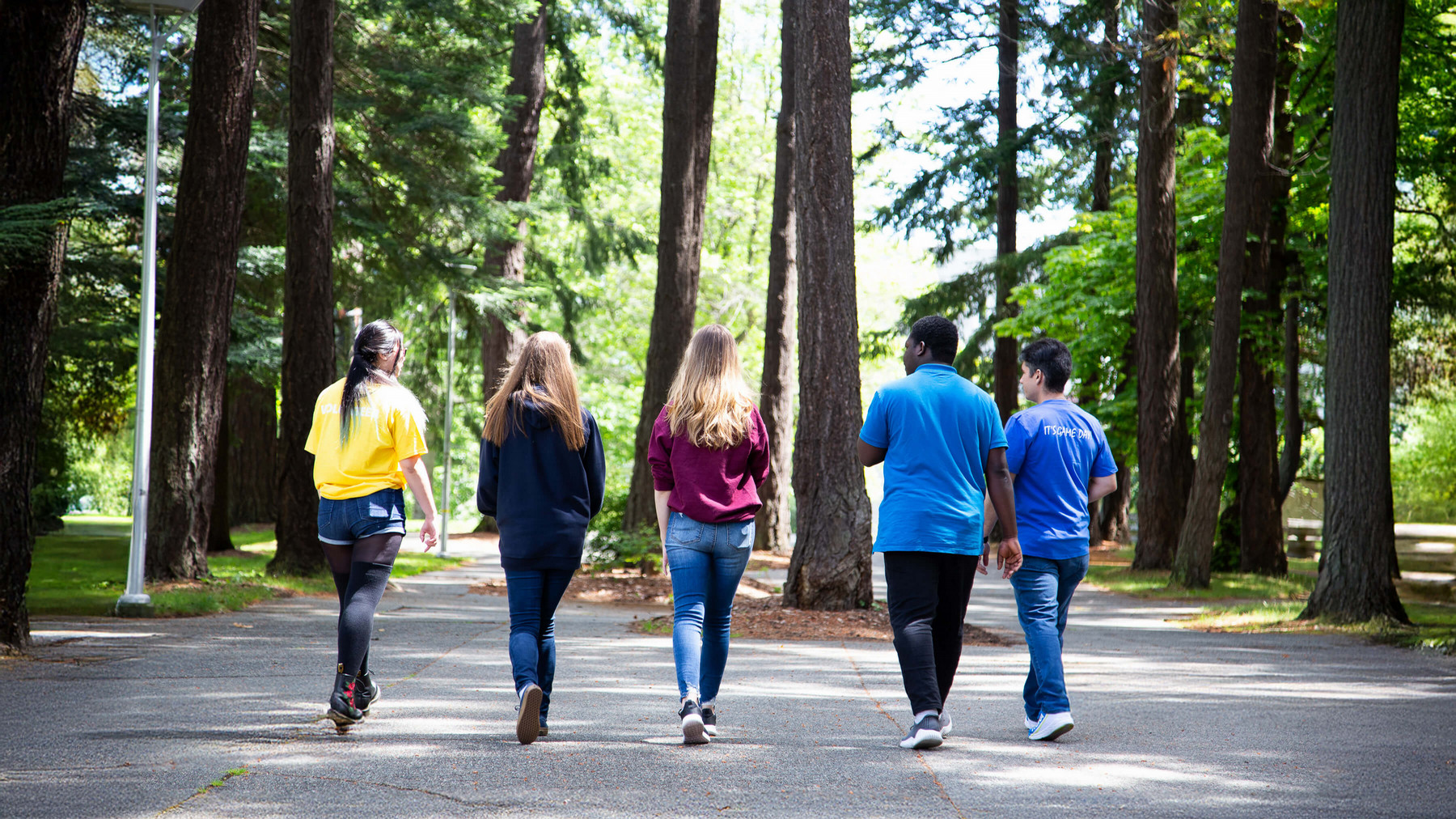 five students walking among tall trees on campus
