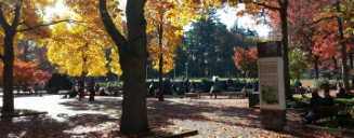 campus fall