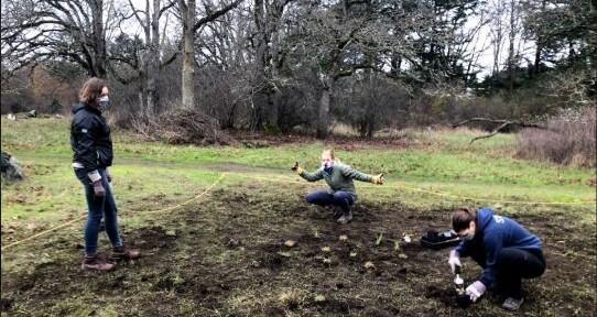 Three people crouched in a meadow digging in the ground to plant plants. There is soil scattered around them. 