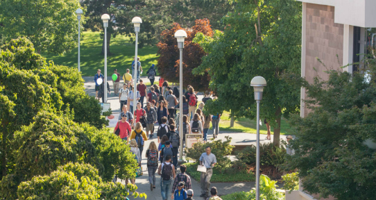 people walking