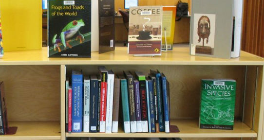 Bookshelf
