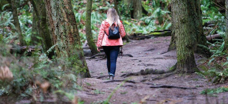 Person walking through the forest on a trail