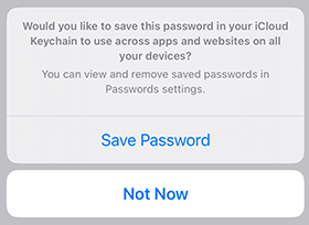A prompt to save your password to your iCloud Keychain