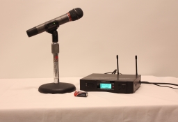 Wireless handheld