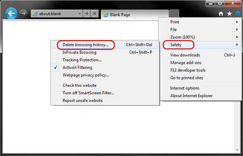 internet explorer delete browser history