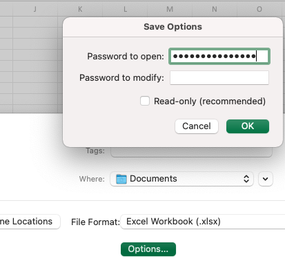 Encrypt Excel Mac 3