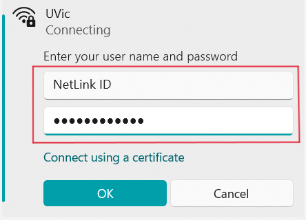 UVic network connection box with NetLink ID and passphrase filled in