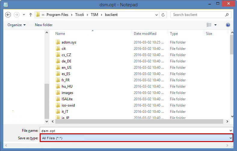 dsm opt save as