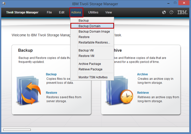 tivoli storage manager actions