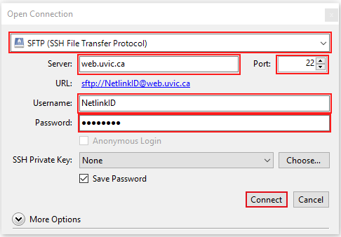 Cyberduck SFTP Connection Settings