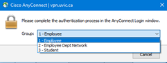VPN client menu options