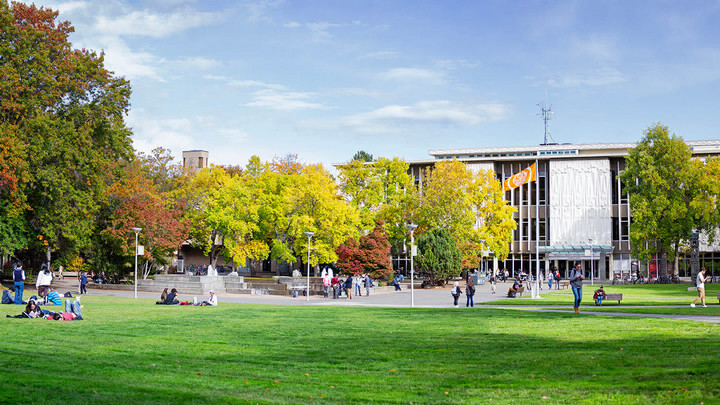Students lounging on the UVic quad