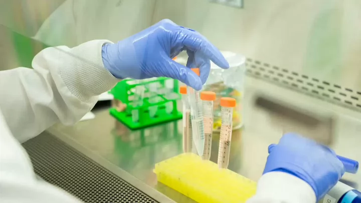 Gloved hands in a lab coat handle test tubes inside a laboratory workspace.