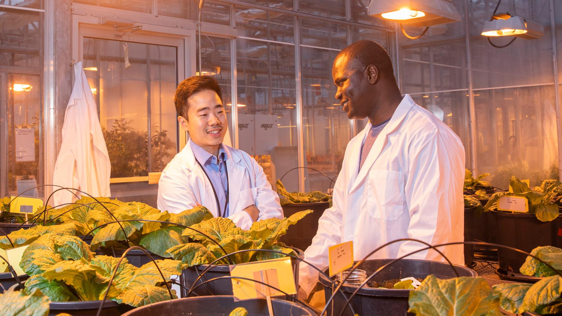 two students in plant lab