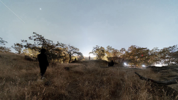 over-exposed shot of the night sky atop a hill with a number of small Gary Oak trees on the skyline along with 2 figures. There is silhouetted figure with their back to the camera in the foreground. A number of stars are visible in a blue sky