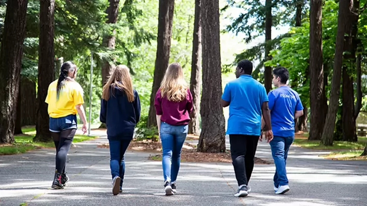 Five people walking together along a shaded, tree-lined walkway on a university campus.