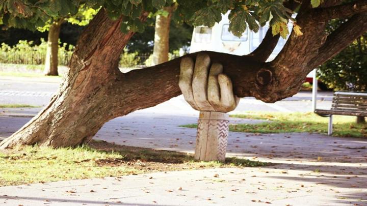 A large tree growing sideways being supported by a large wooden hand